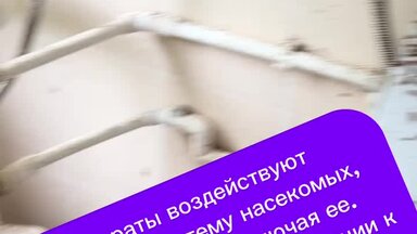 Обработка от тараканов до и после
