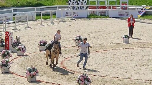 Порно қуана айқайлайды