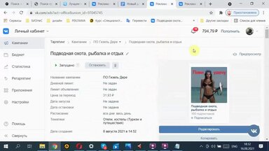 Мой  завершенный проект рекламной кампании