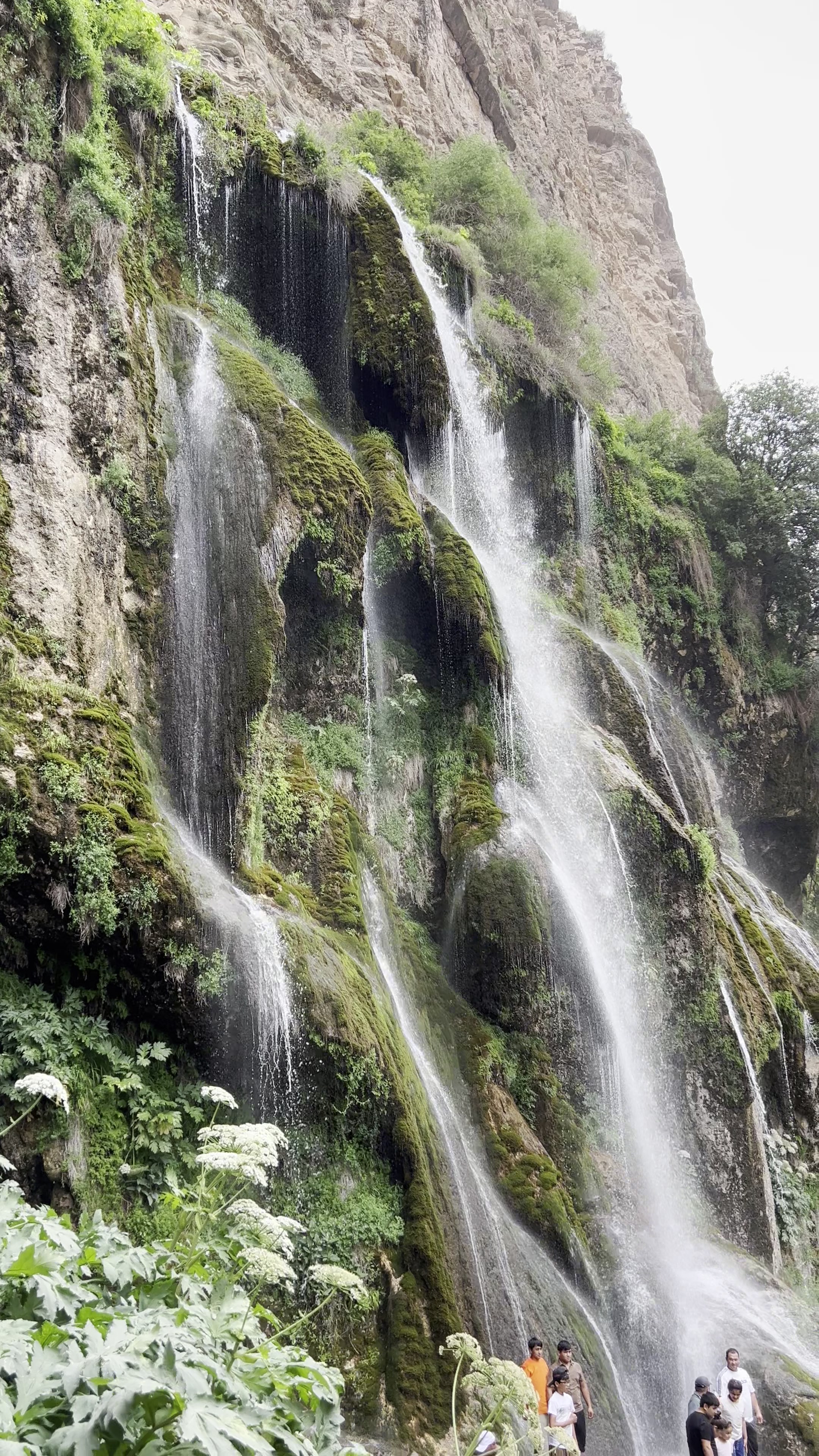 Sverdlovsk viloyati Zarechniy shahridagi fohishalarning suratlari