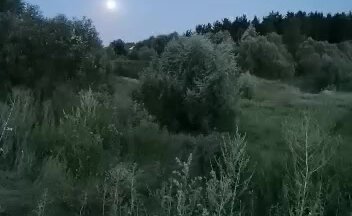 Отзыв клиент Наталья. Конфликт с дочерью подростком.