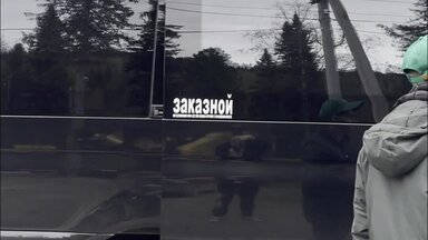 О себе