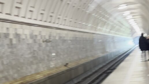 Belorusskaya metro bekatida Moskva trans odamlari