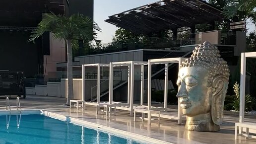 Пискалардың жақыннан түсірілген суреттері