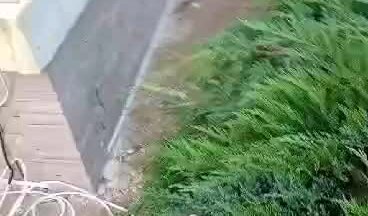 Реконструкция террас