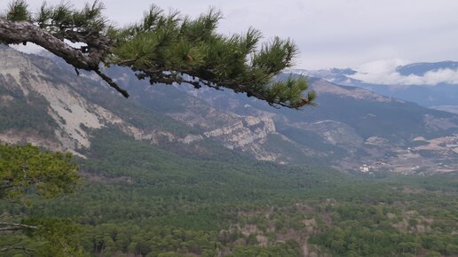 Тайные механизмы, которыми наш разум подвергается обману
