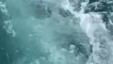 ЯХТА "НЕПТУН"