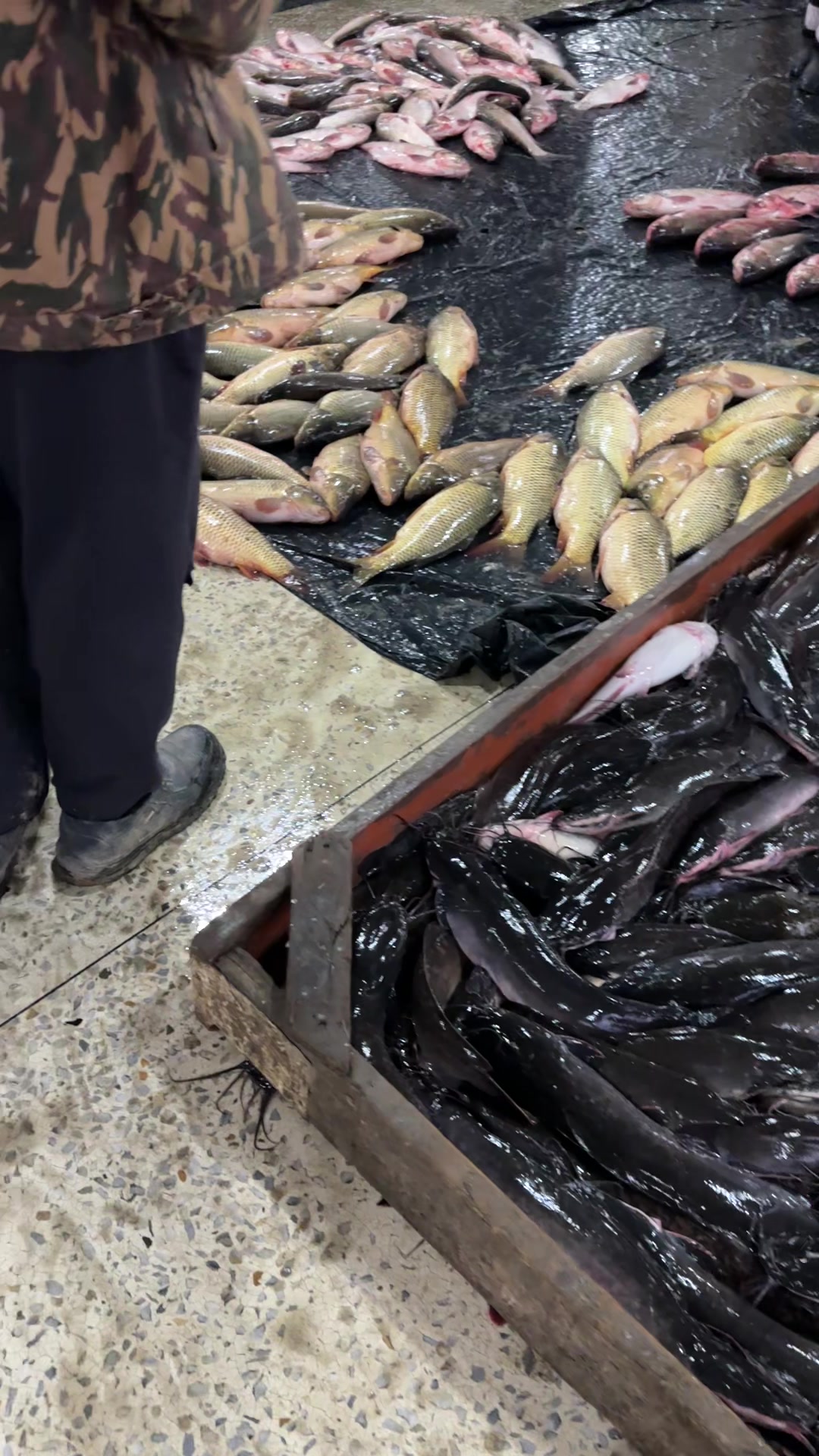 Onlayn jinsiy aloqa va sikish