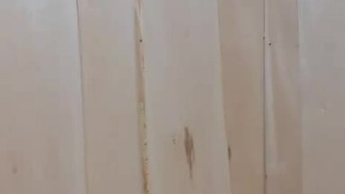 Внутренняя отделка бани