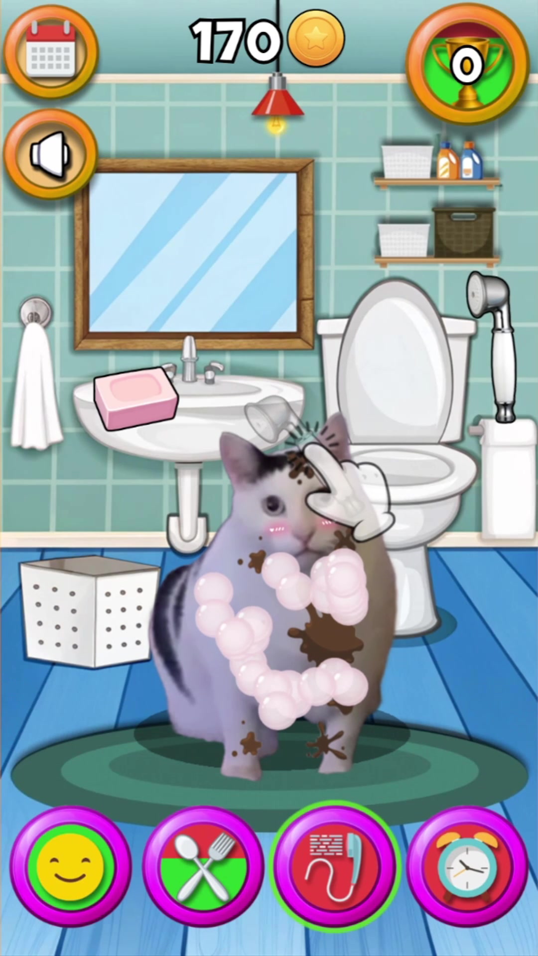 Qanday qilib mushukni barmoq bilan urish kerak (foto)