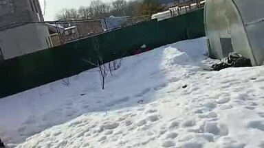 Весенняя обрезка яблонь