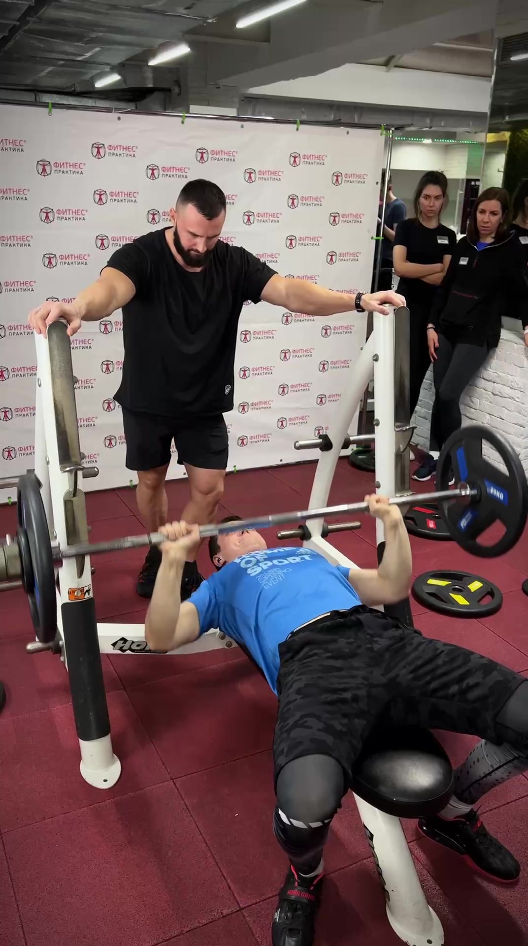 Gaspari Nutrition ���������: ����.