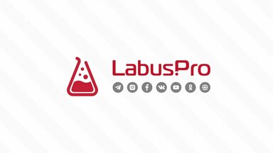 Отзыв о работе компании "labus.pro""