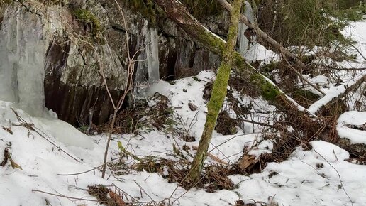 Кировтағы трансвеститтер