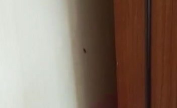 Работаем