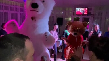Аэромедведь Белый Мишка умка