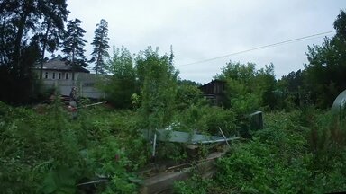 Расчистка участка от растительности Барышево