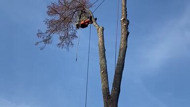 О себе