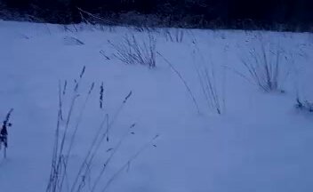 Вынос границ участков на снегу, отчёт для заказчика