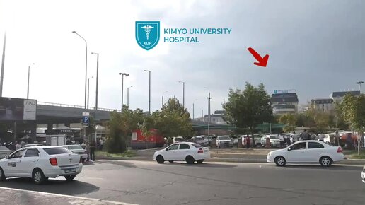 Striptizchini sorish