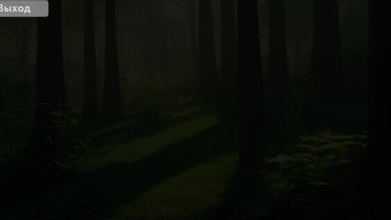 Он жастағы жыныстық қатынас