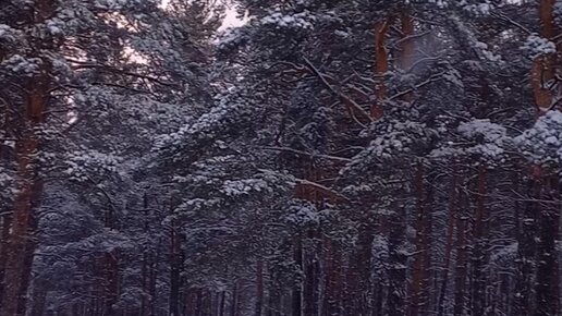 Үлкен кеуде жалаңаш және күлкілі бейнелер