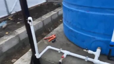 Капельный полив в теплице