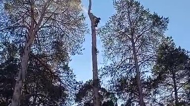 О себе