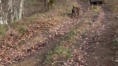 Прогулка в горах зоосанаторий