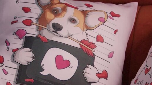 Soqollangan mushuk porno