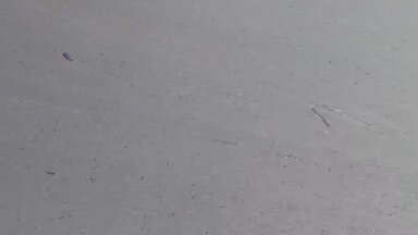Асфальтирование дорог с асфальтоукладчиком