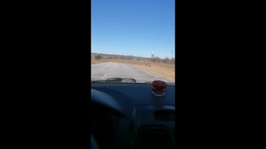 Видео о моей работе #82