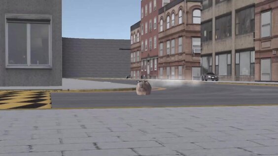 Capybara Drive