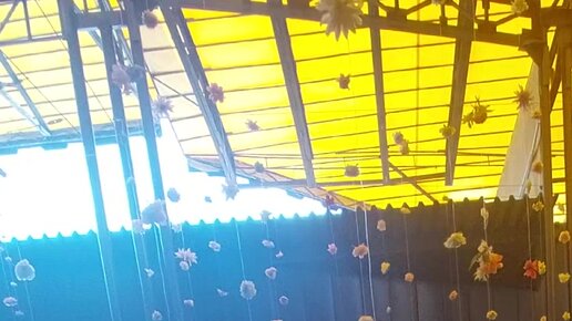 Мен әпкемді ваннада аңдыдым