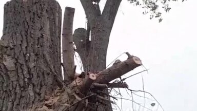 О себе