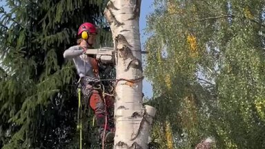 Пример выполнения наших работ!