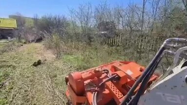 Расчистка участка от поросли