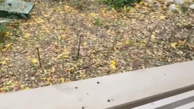 Видео о моей работе