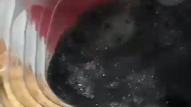 Видео о моей работе #1