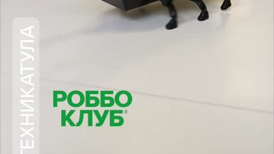 РоббоЖук