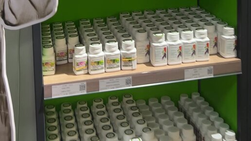 Қожайын мен құлдардың порно видеосы