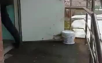 Домашний переезд