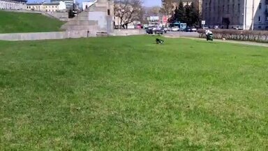 Хотите так же?