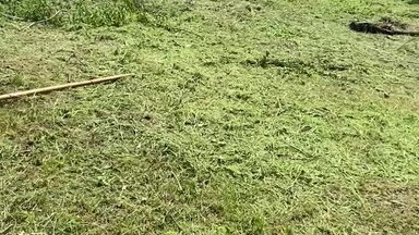 Выполнили расчистку участка от травы, небольших деревьев и старых веток, все вывезли двумя газелями, в общем потрачено 7-8 часов