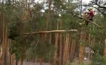 Видео о моей работе #1