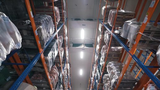 Жіңішке қыздар секс видео онлайн