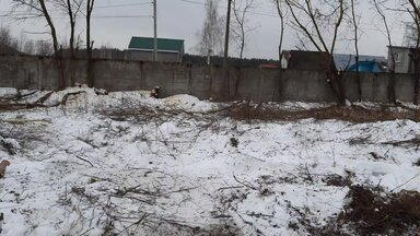 Расчистка участка