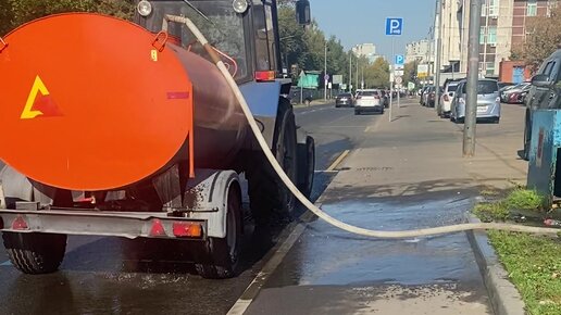 Транс киска мен ойыншықтарды жалайды