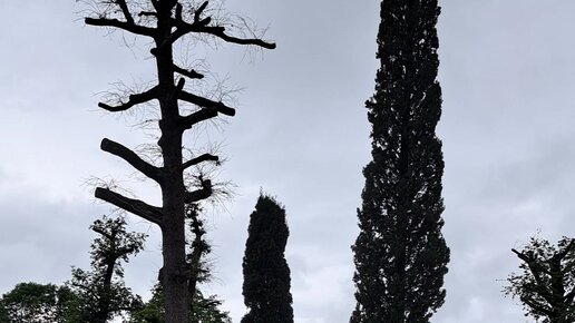 90-жылдардың порно мұрағаты