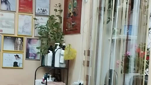 Знакомства с girls Novokuybyshevsk Samara с фото - gorod-gazeta.ru